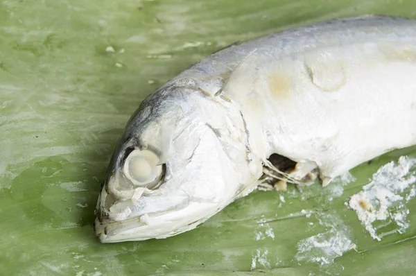 Ikan makarel makan laut segar laut Thailand konsep — Stok Foto