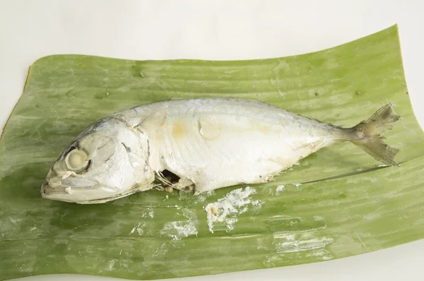 Makrill fisk måltid fresh marine havet thailändska koncept — Stockfoto