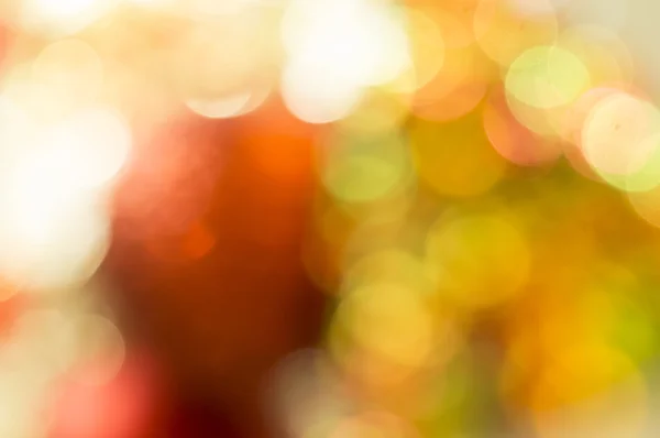 Light blurred cerebration cerebrate glitter golden concept — Stock Photo, Image