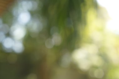 ışık arka plan aydınlatılmış yeşil renk kavramı bulanık