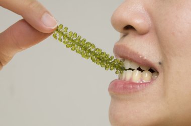 erkek sağlıklı yeşil yosun aperatif yemek 