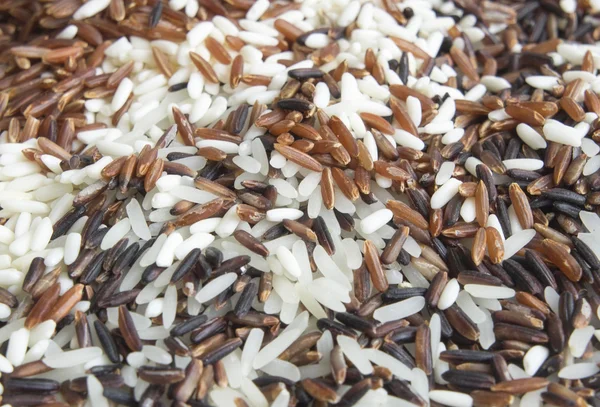 Thai ris och soja frön — Stockfoto