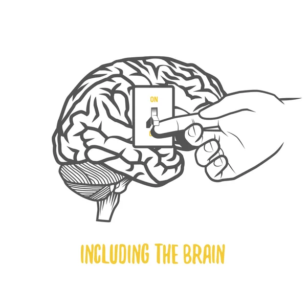 Beyin de dahil olmak üzere