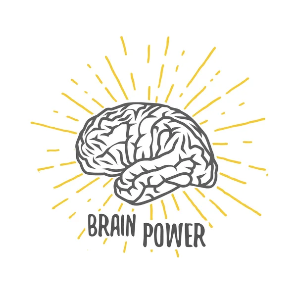 Vector brain illustration. Brain power. — Stock Photo, Image