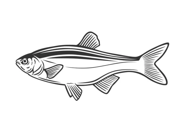 Illustration Monochrome Avec Poisson Pour Conception Sur Thème Pêche — Image vectorielle