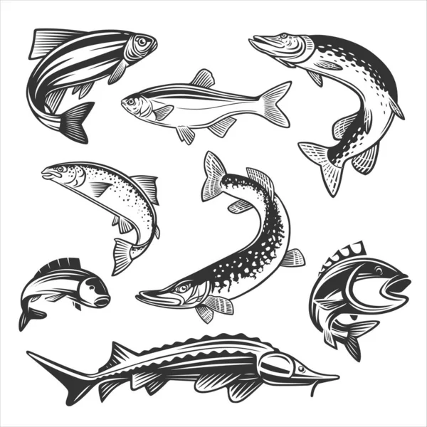 Illustrazione Monocromatica Con Pesce Progettazione Tema Pesca — Vettoriale Stock