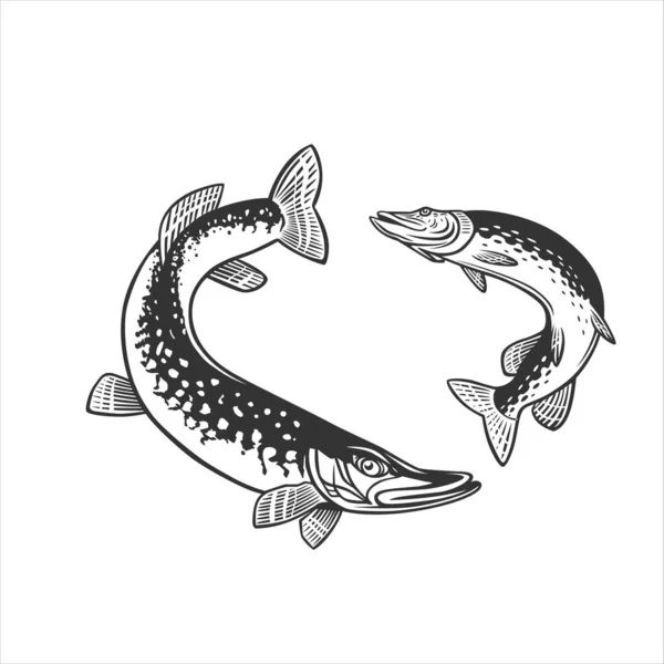 Ilustração Monocromática Com Pique Para Design Sobre Tema Pesca — Vetor de Stock