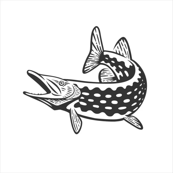 Monochrome illustration with a pike for design on a fishing theme. — Stock Illustration Monochrome Illustration Pike Design Fishing Theme Stock Vector