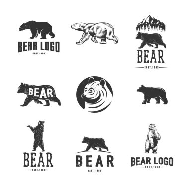 Beyaz arkaplanda Bears logoları olan tek renkli çizimler.