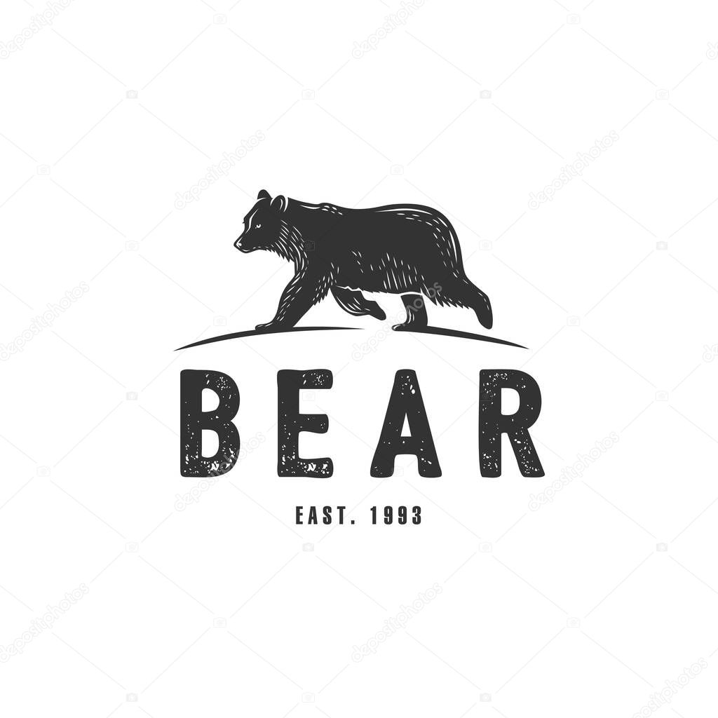 Vector bear illustration. Black and white vector object.
