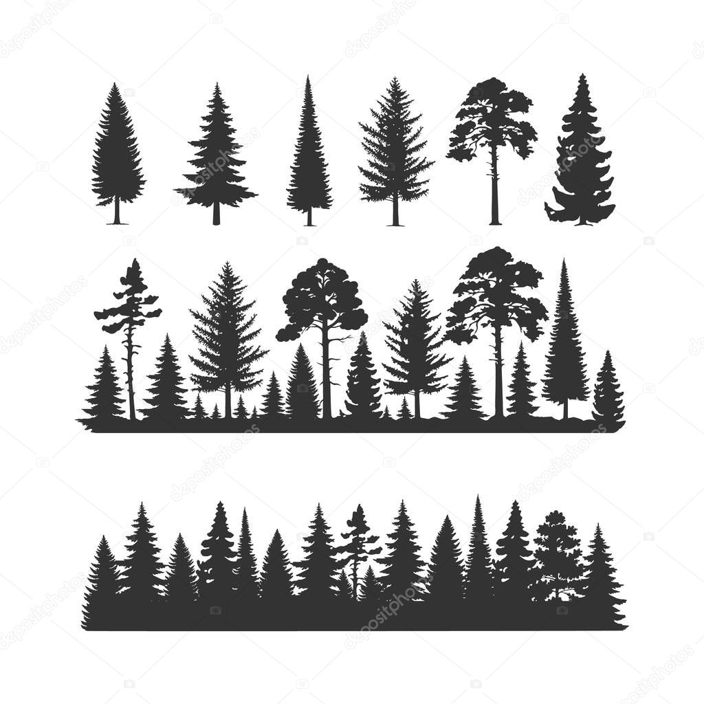 Vector trees illustrations. Monochrome illustrations with a coniferous trees.
