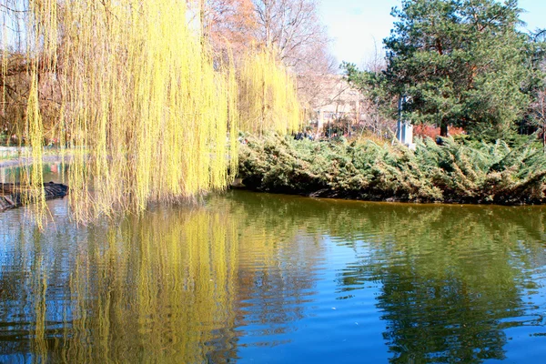 Belo parque na temporada outonal, em Novi Sad, Sérvia — Fotografia de Stock