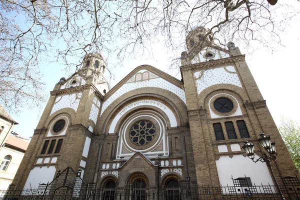 Novi Sad synagoge is één van de vier synagogen die vandaag bestaan in — Stockfoto