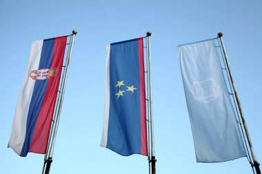 Flags of Serbia, Vojvodina and city of Novi SAd clipart