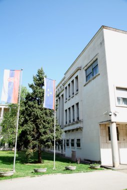 Vojvodina'nın derleme bir ön Sırp ve Vovjodina'nın Bayraklarda