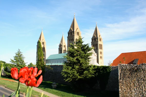 圣 · 彼得-胸肌，匈牙利的大教堂。由联合国世界文化遗产 — 图库照片