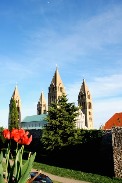 Basiliek van St. Peter - Pecs, Hongarije. World Heritage Site door VN — Stockfoto