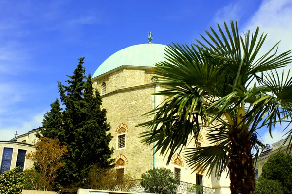 Tropische Palme vor der Moschee — Stockfoto