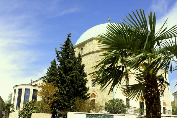 Ένα τζαμί και παλάμη — Φωτογραφία Αρχείου
