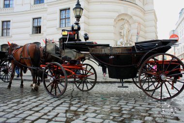 hofburg Sarayı, Viyana, Avusturya, at temelli taşıma