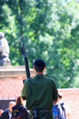  görev ve arka plan bulanık asker