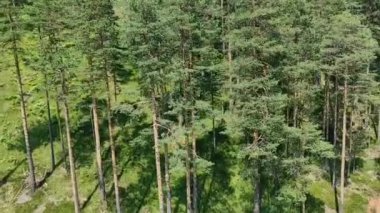 AIR 'dan ulusal park görüntüleri