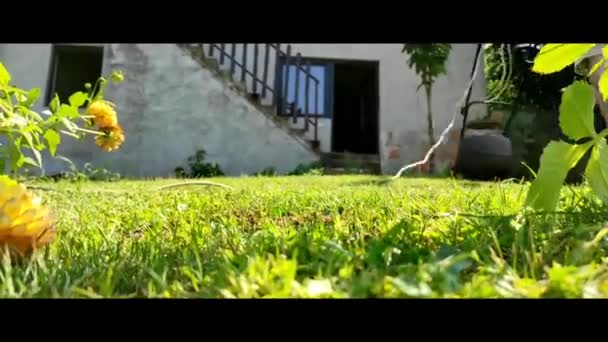 移動オレンジローンムーバー切断緑の草 — ストック動画