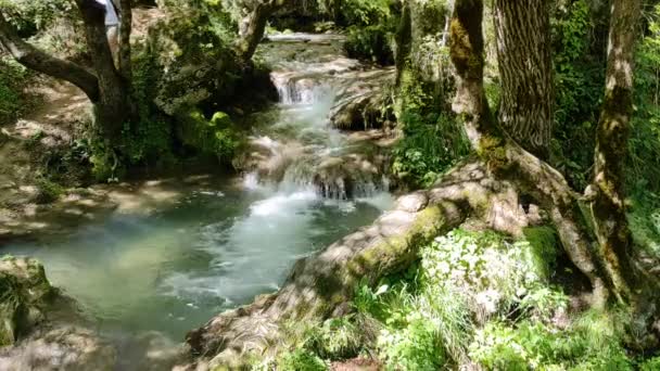 Acqua Sorgente Montagna Europa — Video Stock