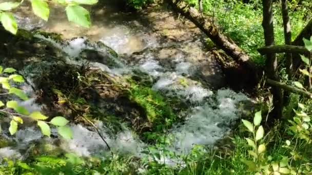 Cascada Gostilje Europa Balcanes Serbia Zlatibor — Vídeos de Stock
