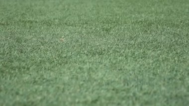 Futbolcu dribbling becerileri