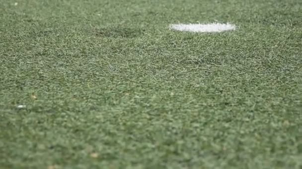 Penalty Kick Preparations Soccer — Stock Video