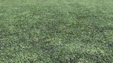 Futbolcu dribbling becerileri