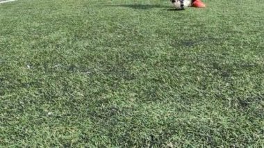 Futbolcu dribbling becerileri