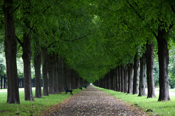 George trädgårdar i Hannover, Tyskland — Stockfoto