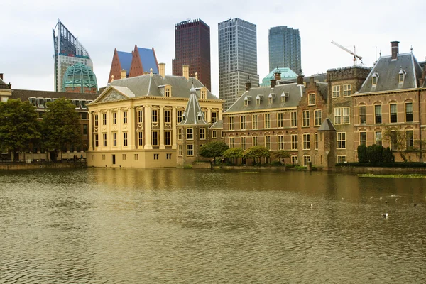 Il Binnenhof dell'Aia con l'Hofvijver — Foto Stock