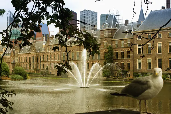 Den Haag, Nederland, Binnenhof paleis — Stockfoto