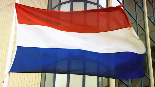 Holland's flag on wind — Stock Photo, Image