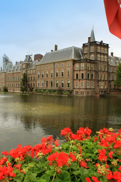 Il Binnenhof con il lago Hofvijver. Aia — Foto Stock