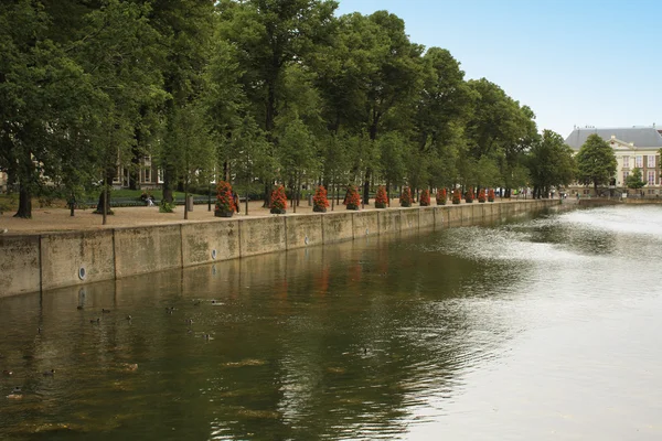 Park Binnenhof Hofvijver Gölü ile Ridderzaal arasında.