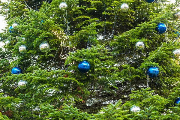 Weihnachtsbaumzweig mit blauen Kugeln. Hintergrund zum neuen Jahr. — Stockfoto