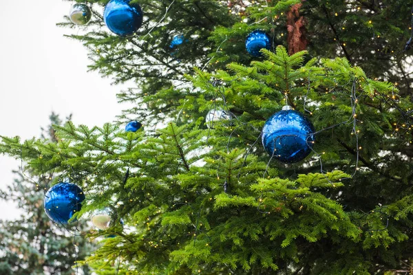 Kerstboom tak met blauwe ballen. Achtergrond van het nieuwe jaar. — Stockfoto