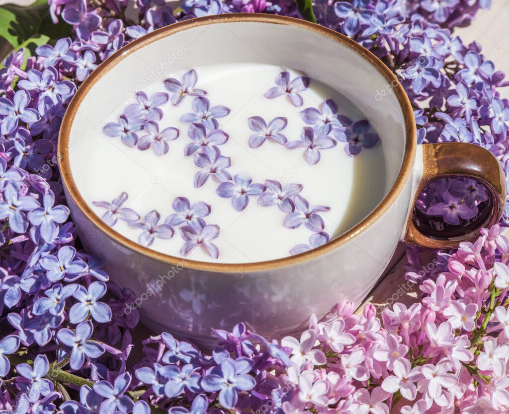 Cup with milk and small purple lilac flowers