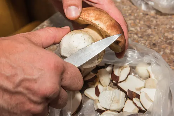 Мужчины руки нож чистый съедобный лесной гриб — стоковое фото