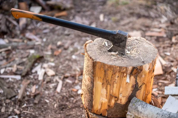 Ax sidder fast i stubben. Woodcutters økse på stubben. - Stock-foto