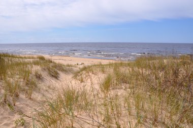 Dunes, Saulkrasti, Baltık Denizi, Letonya