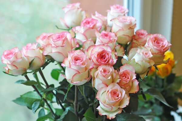 Large bright bouquet of white-pink roses