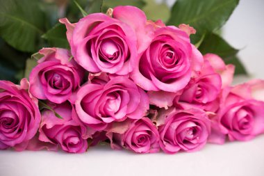 Beyaz arka planda pembe gül buketi. Çiçek arkaplanı. Anneler günü, düğün ve doğum günü konsepti. Boşluğu kopyala