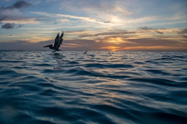 Karayip günbatımı
