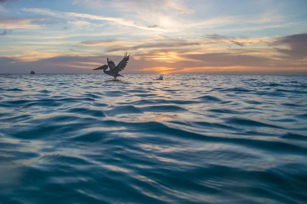 Karayipler, yanan günbatımı