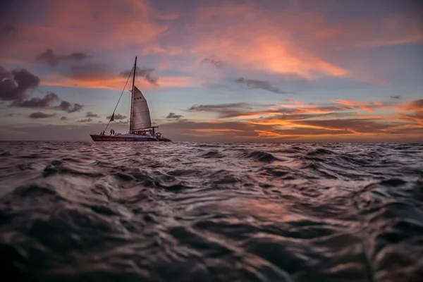 Caribbean Sunset Cruise with Catamaran — Stock Photo, Image